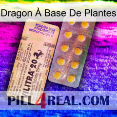 Dragon À Base De Plantes new06